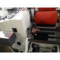 Pet Film and PVC Film Thermal Laminating Machine (DP-300)